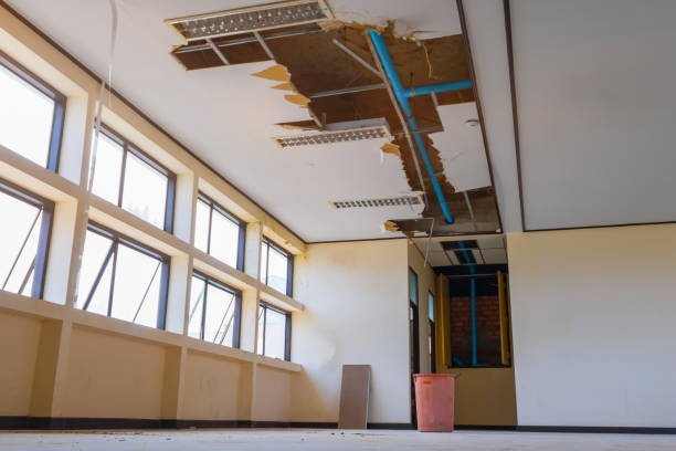 Best 24/7 water damage repair  in Midland, TX