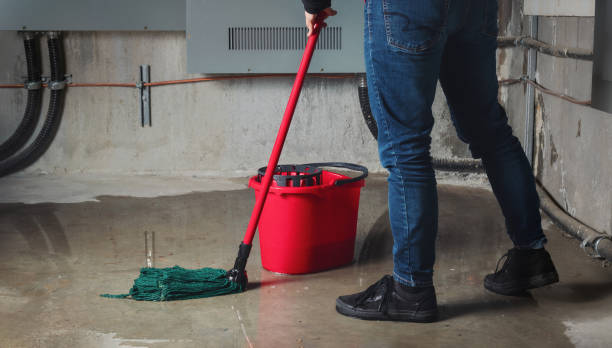 Best Flood restoration services  in Midland, TX
