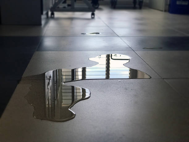Best Professional water damage repair  in Midland, TX