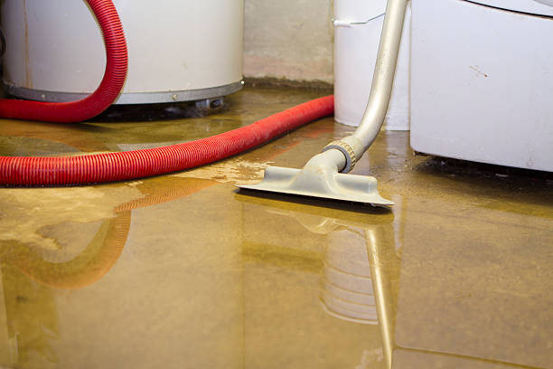 Best Sewage cleanup and water damage restoration  in Midland, TX